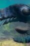 Nonton Film Life on Our Planet Season 1 Episode 2 Terbaru